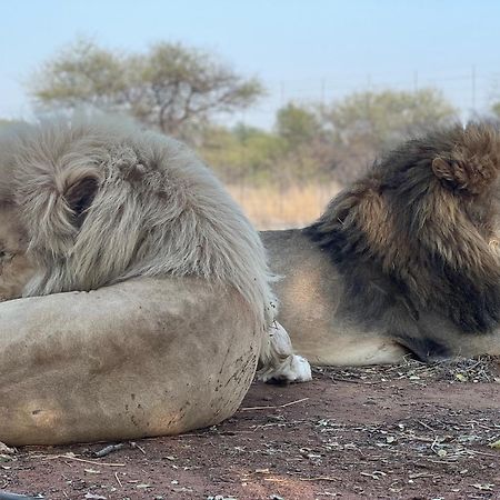 Simba Safaris African Pride Exotic Lodge Lephalale 外观 照片