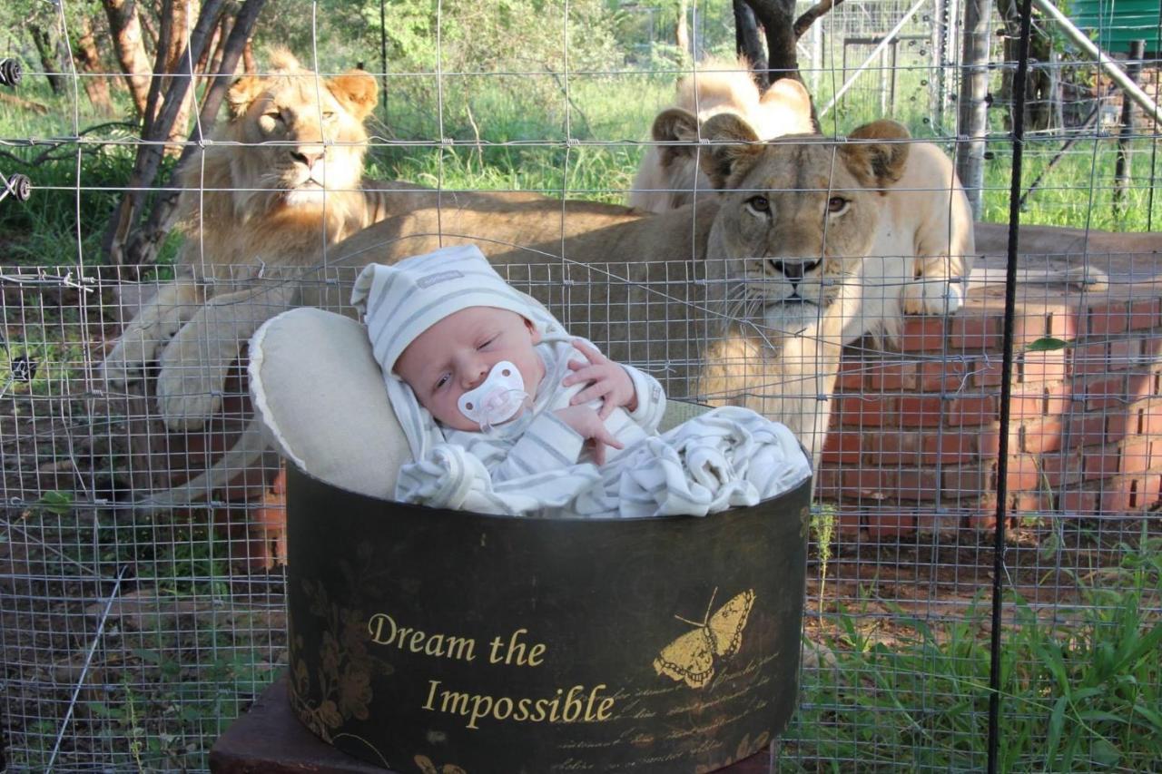 Simba Safaris African Pride Exotic Lodge Lephalale 外观 照片