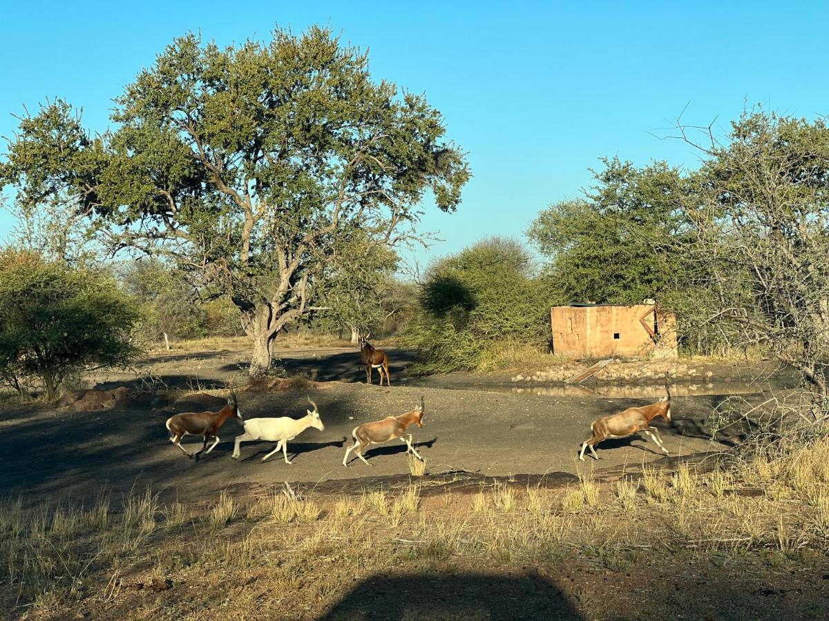 Simba Safaris African Pride Exotic Lodge Lephalale 外观 照片
