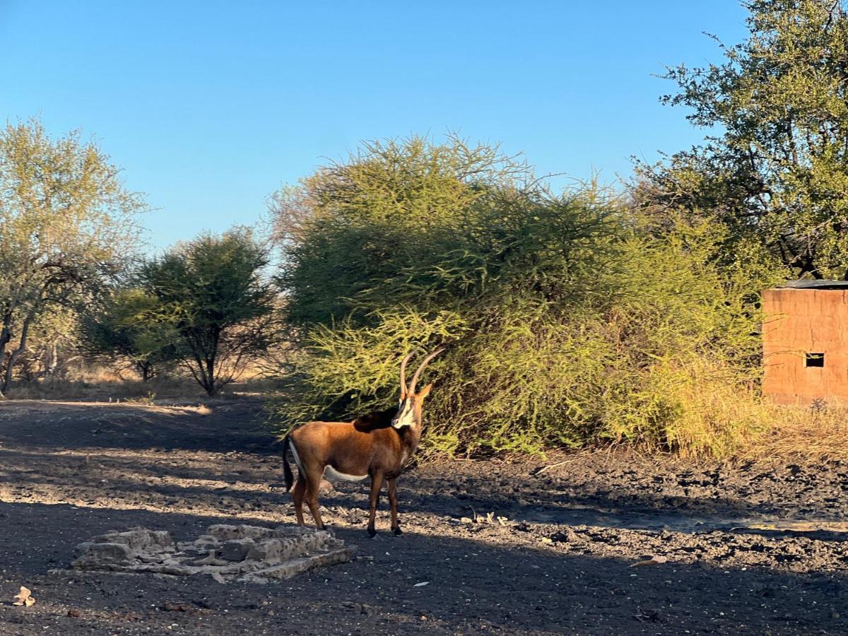 Simba Safaris African Pride Exotic Lodge Lephalale 外观 照片