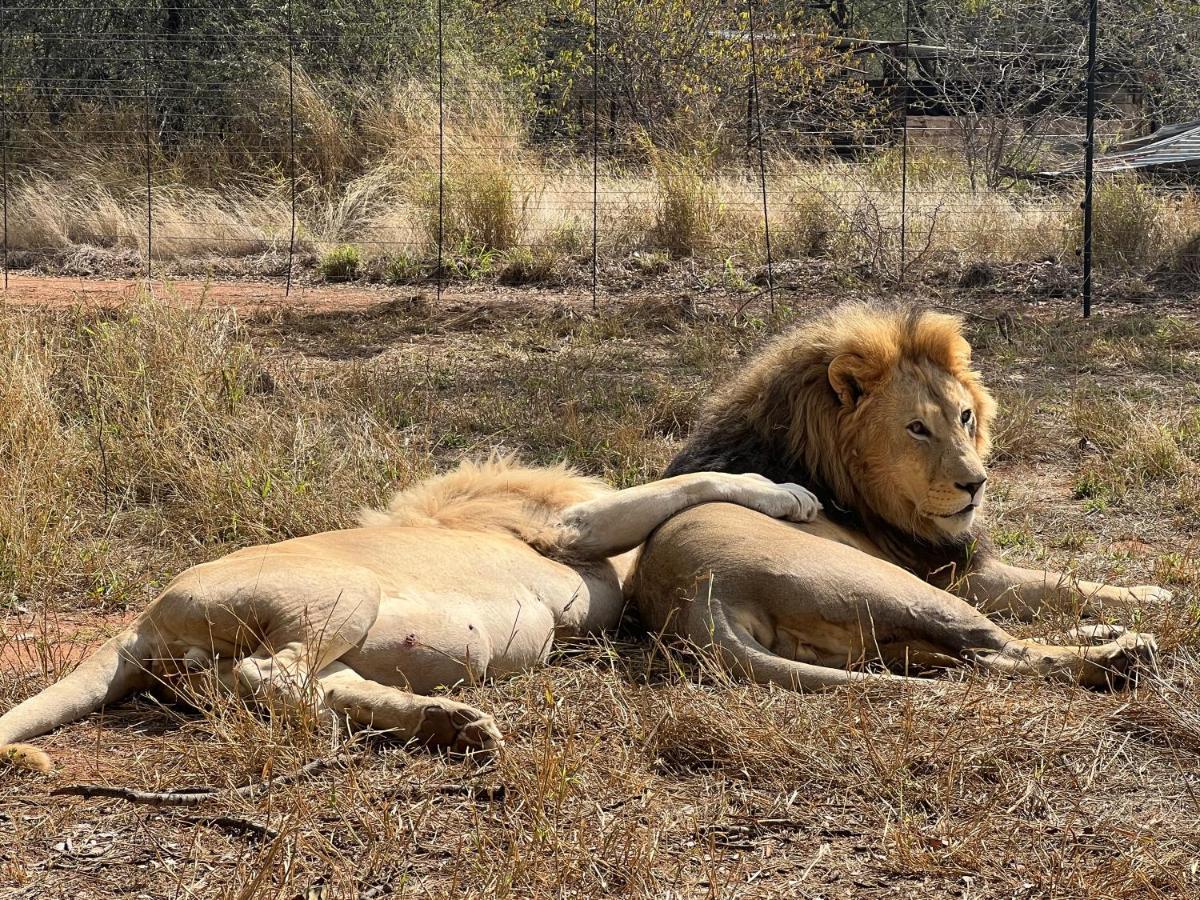 Simba Safaris African Pride Exotic Lodge Lephalale 外观 照片