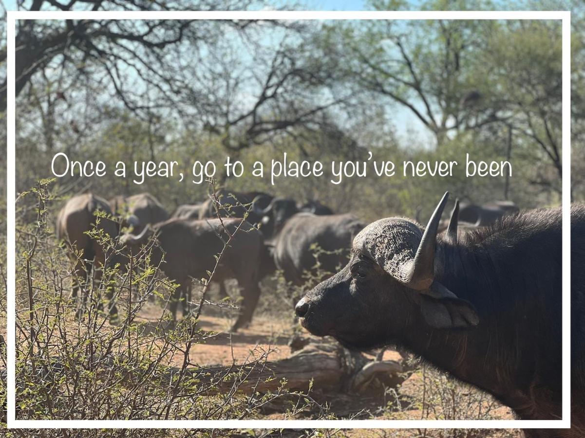 Simba Safaris African Pride Exotic Lodge Lephalale 外观 照片