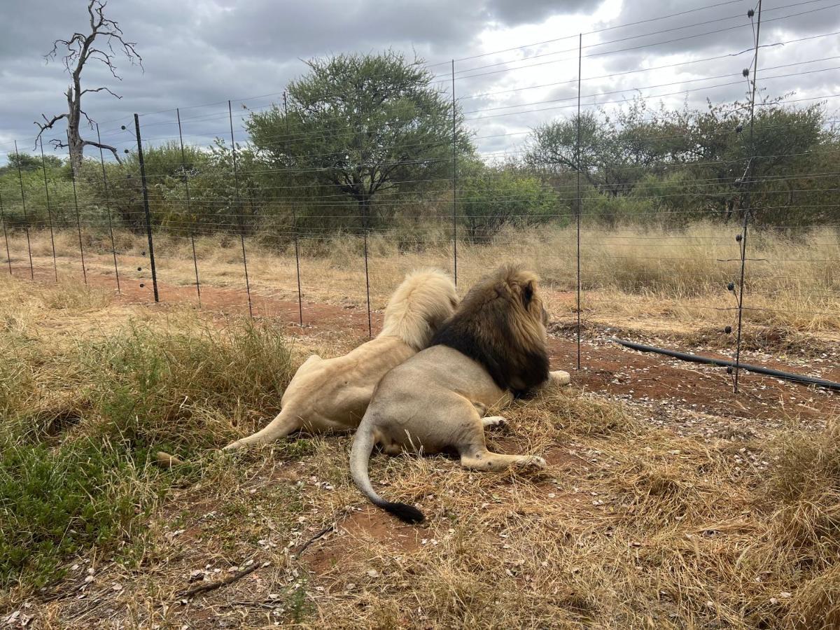 Simba Safaris African Pride Exotic Lodge Lephalale 外观 照片