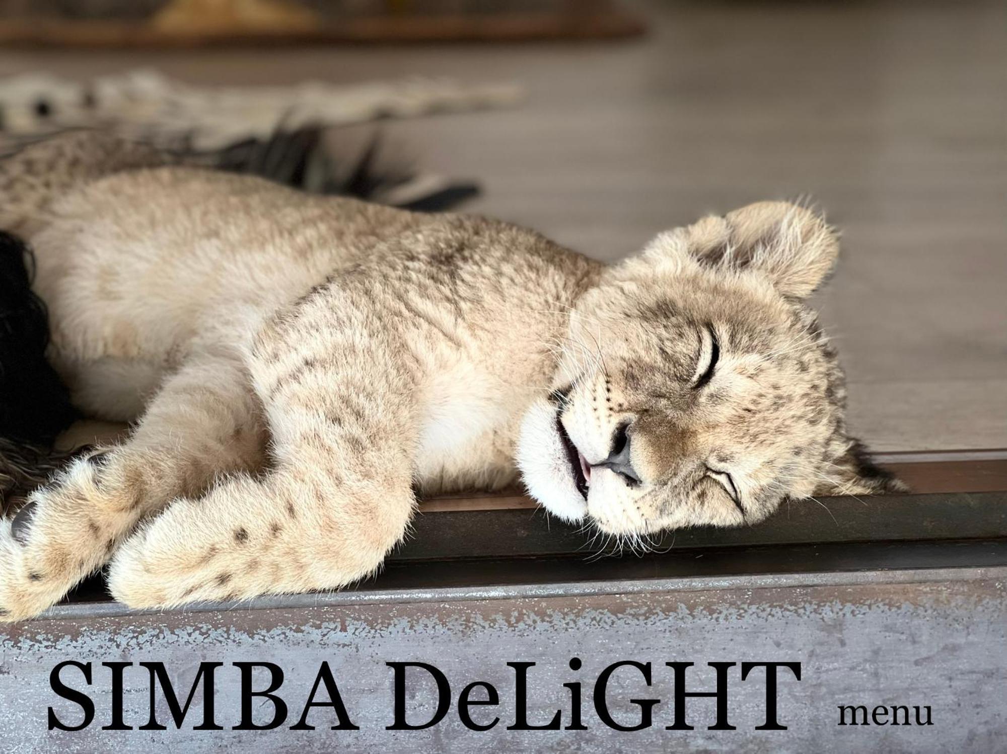 Simba Safaris African Pride Exotic Lodge Lephalale 外观 照片