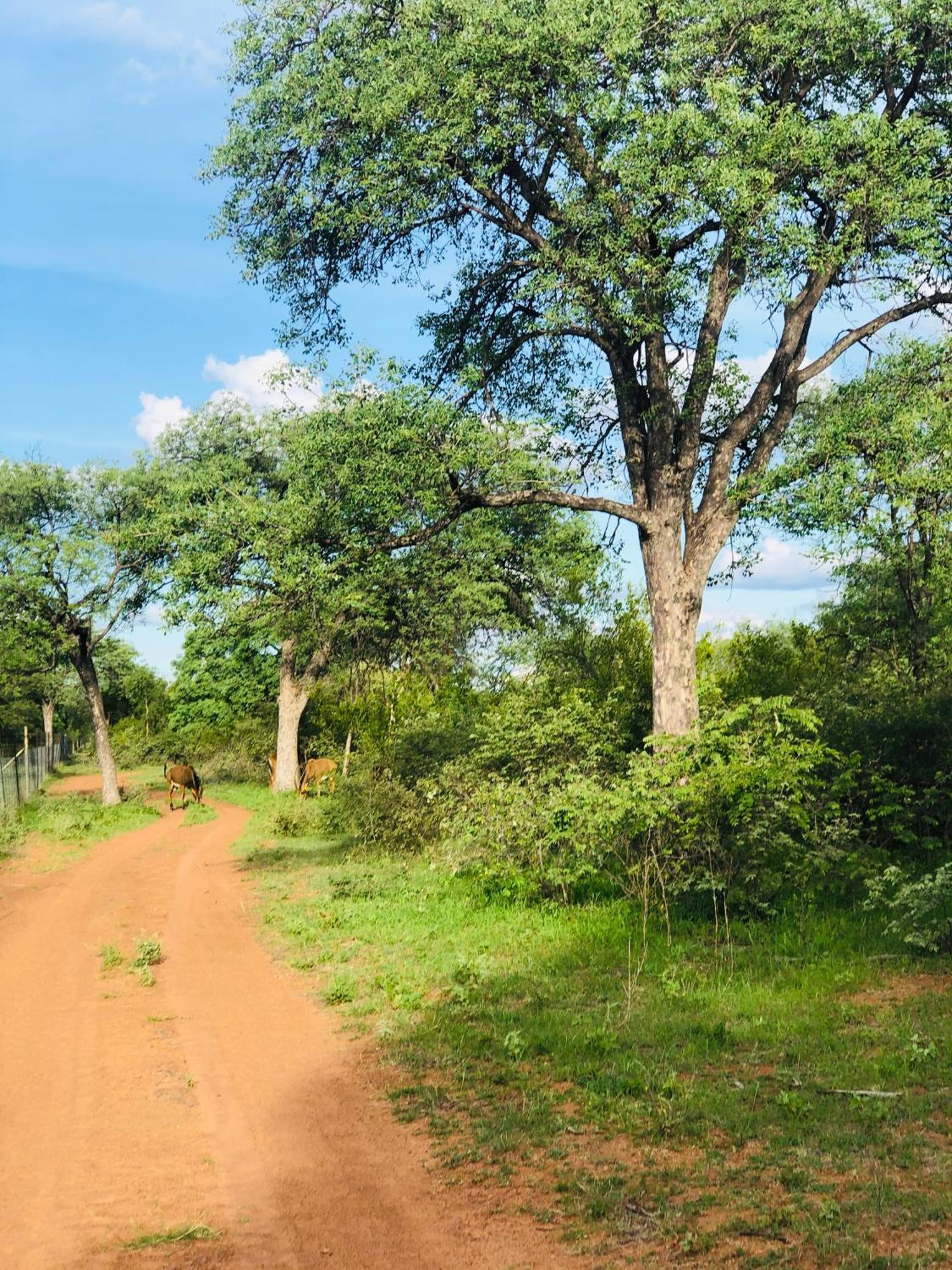 Simba Safaris African Pride Exotic Lodge Lephalale 外观 照片