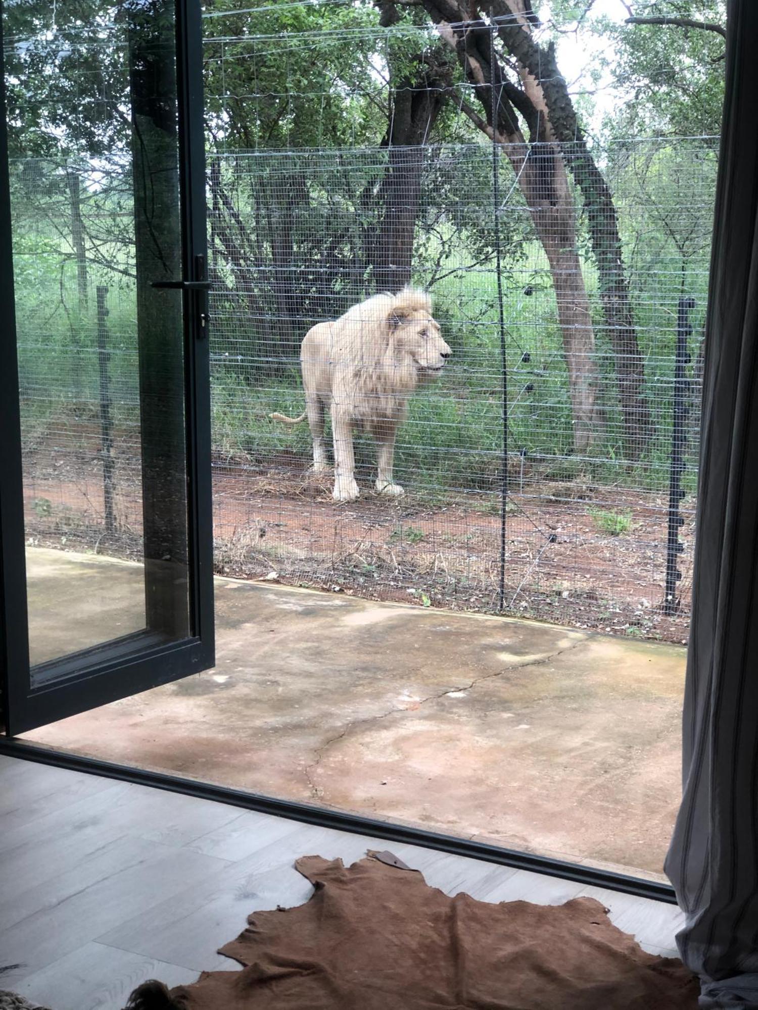 Simba Safaris African Pride Exotic Lodge Lephalale 外观 照片
