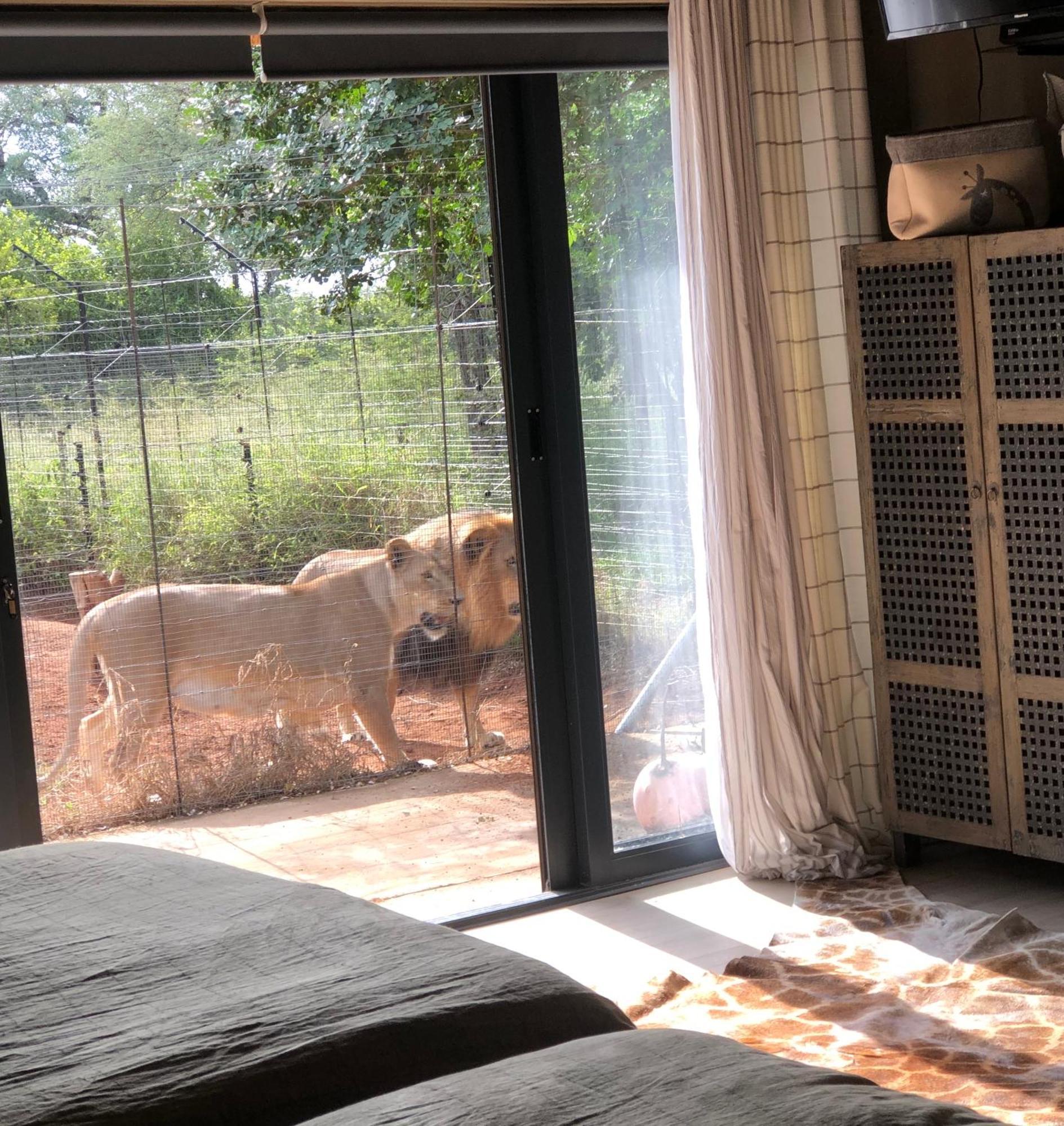 Simba Safaris African Pride Exotic Lodge Lephalale 外观 照片