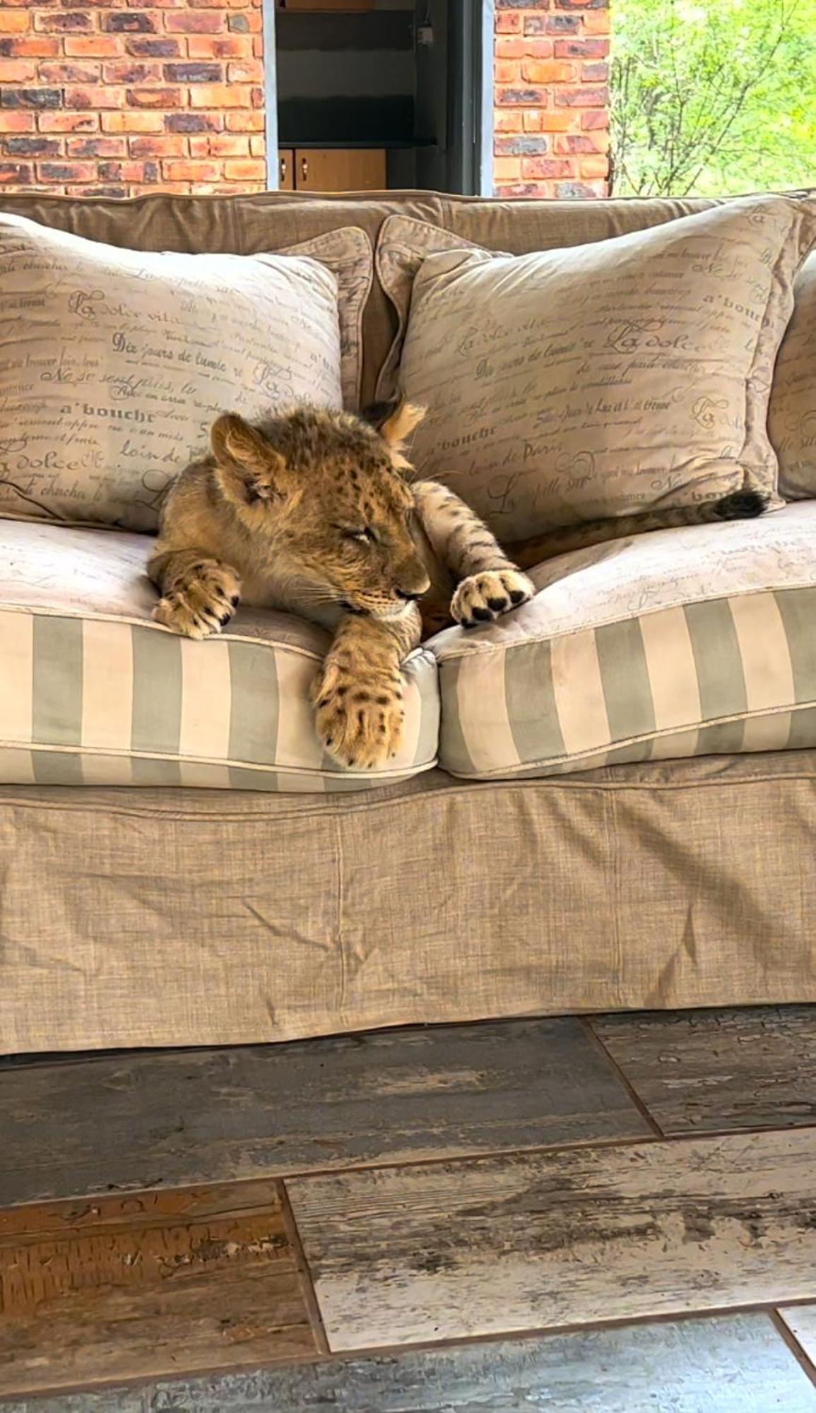 Simba Safaris African Pride Exotic Lodge Lephalale 外观 照片