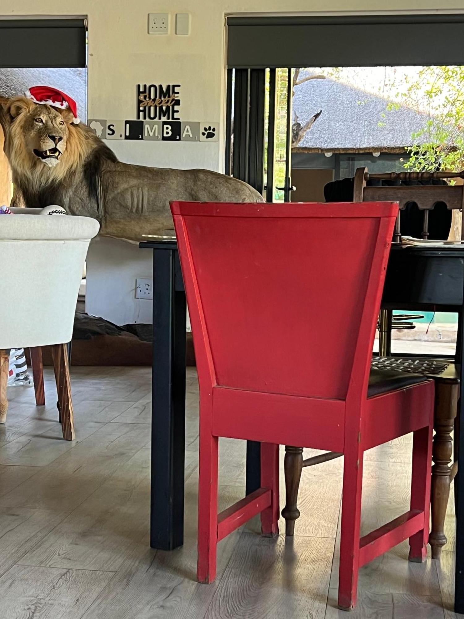 Simba Safaris African Pride Exotic Lodge Lephalale 外观 照片