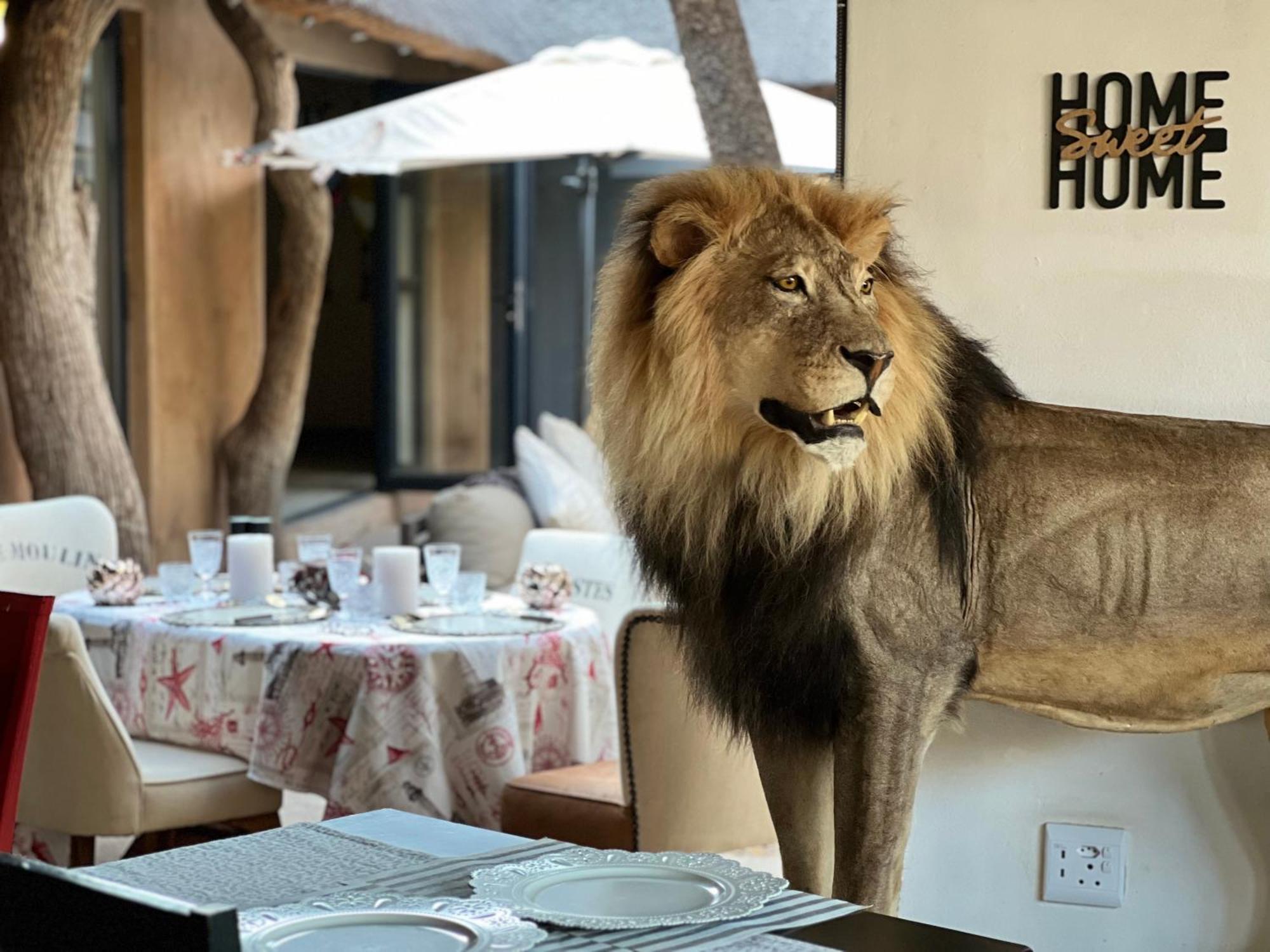 Simba Safaris African Pride Exotic Lodge Lephalale 外观 照片