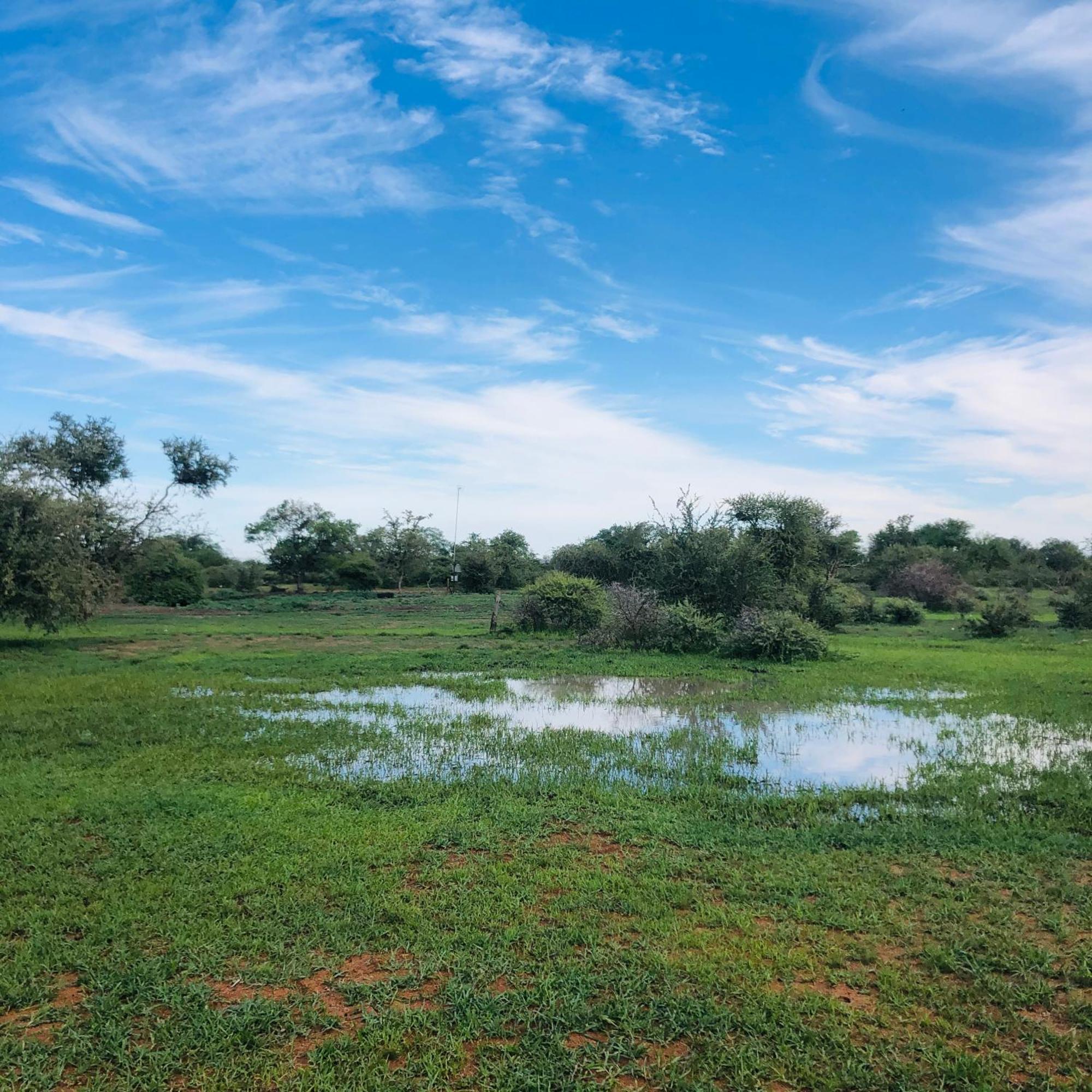 Simba Safaris African Pride Exotic Lodge Lephalale 外观 照片