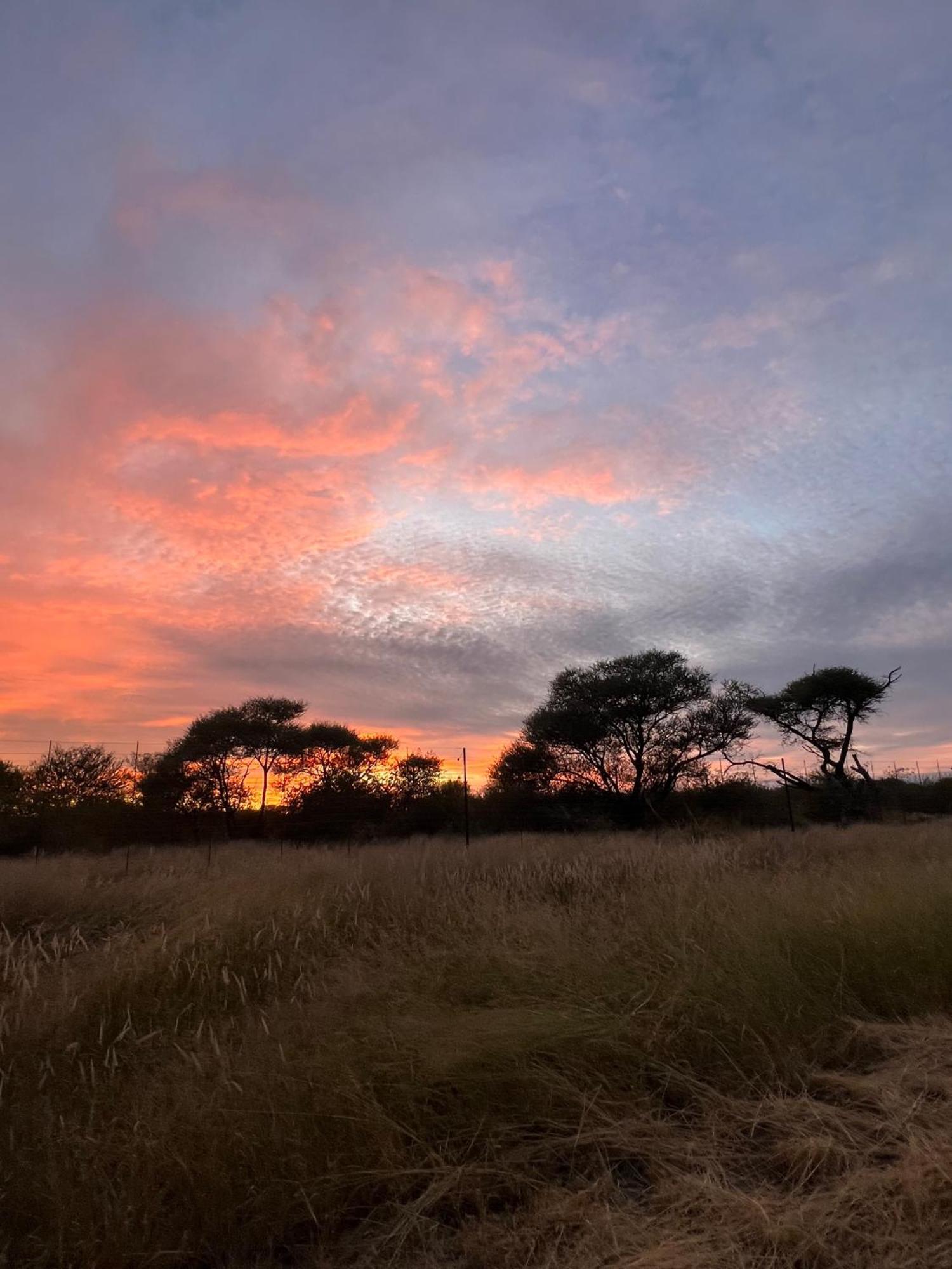 Simba Safaris African Pride Exotic Lodge Lephalale 外观 照片