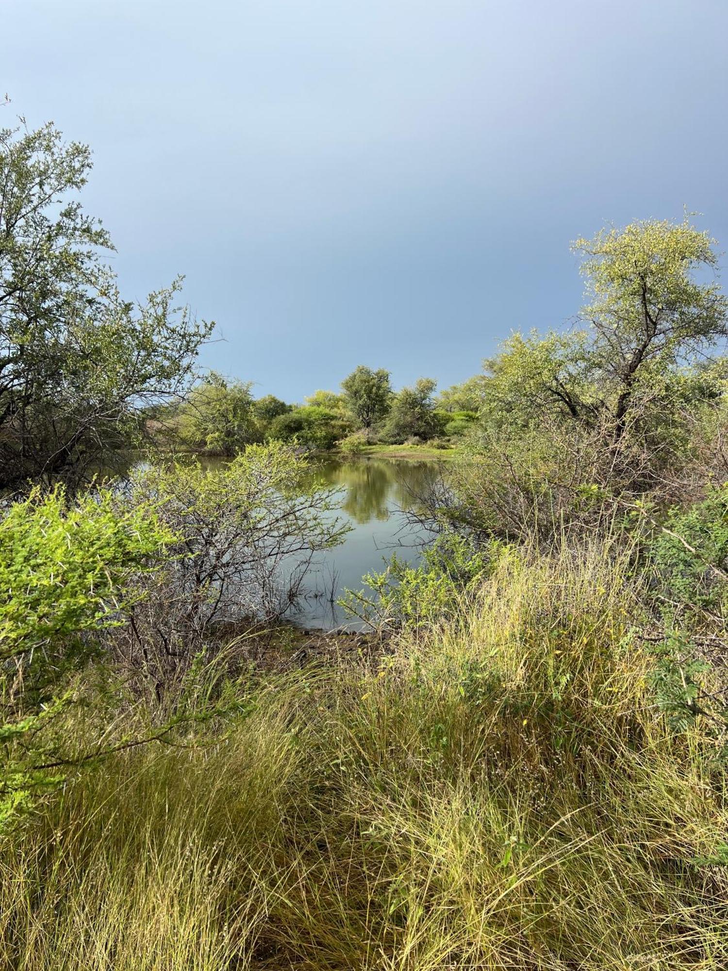 Simba Safaris African Pride Exotic Lodge Lephalale 外观 照片